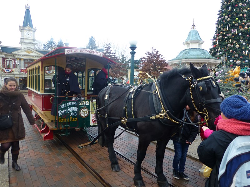 La magie de Noel à DLP. 640881023