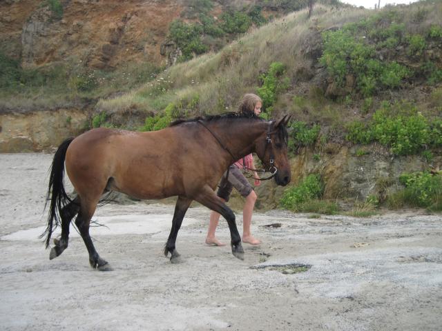 Domaine de Kerdianou...Vacances en Bretagne !!! 641330IMG8485