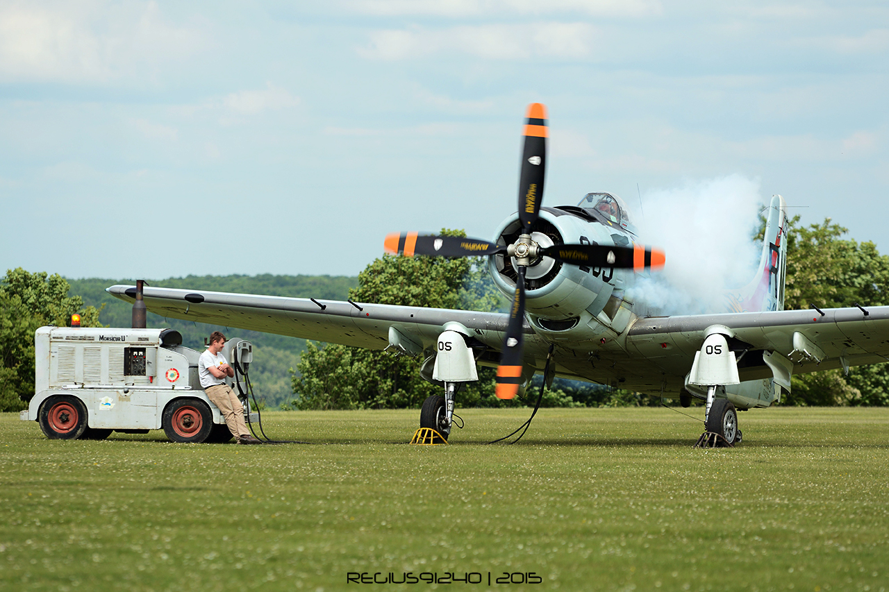 Aérodrome de La Ferté Alais - Page 7 643371DSC5461