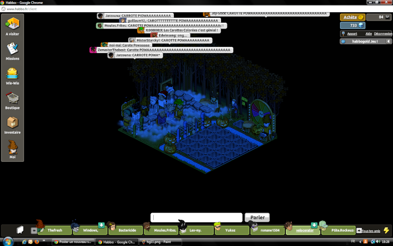 Vos screens - 2012- 644183habbogold