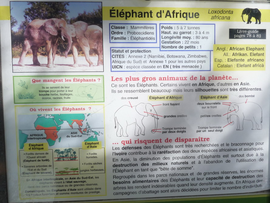 NARBONNE EN PASSANT PAR LA RESERVE AFRICAINE DE SIGEAN C" EST  DROLEMENT FUN - Page 4 646108P1180317