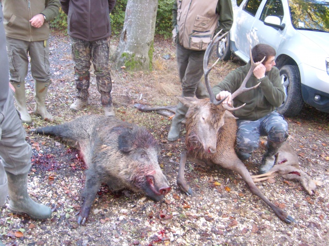 Saison de chasse au Grand Gibier 2013/2014 - Page 32 647434SL270093