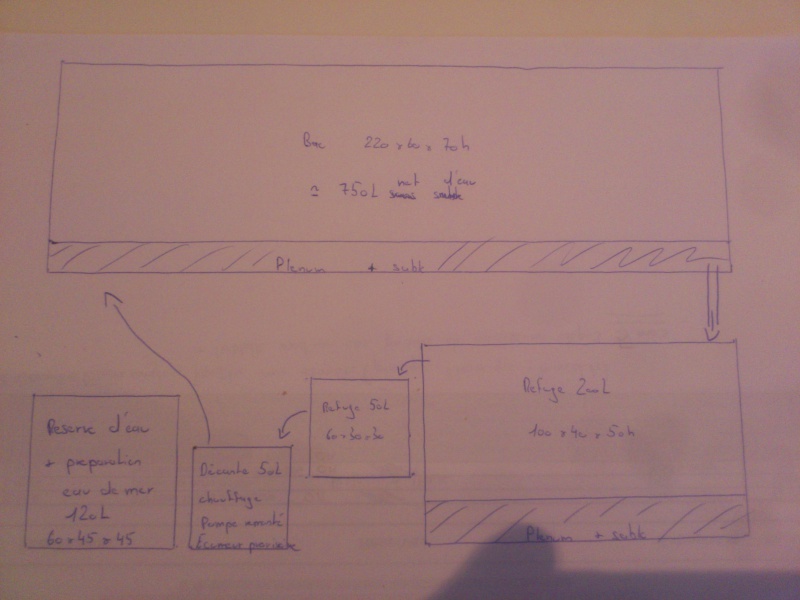 Projet environ 1oooL - Page 2 653945DSC0962