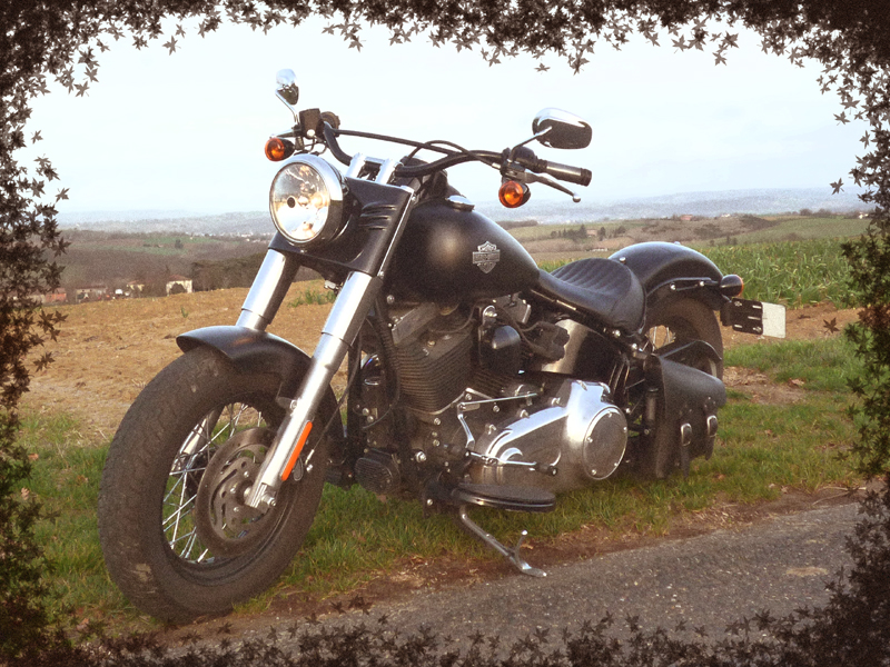 SOFTAIL SLIM... les accros de la Slim attitude !! 654621Slim8