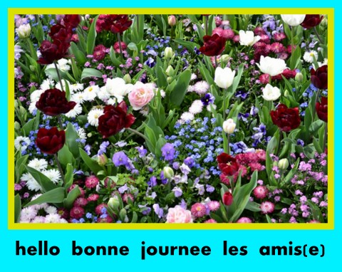 Bon Samedi 655005fleursduprintemps