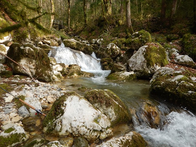 Découvertes dans le Vercors et la Chartreuse au toc 6554526640x480