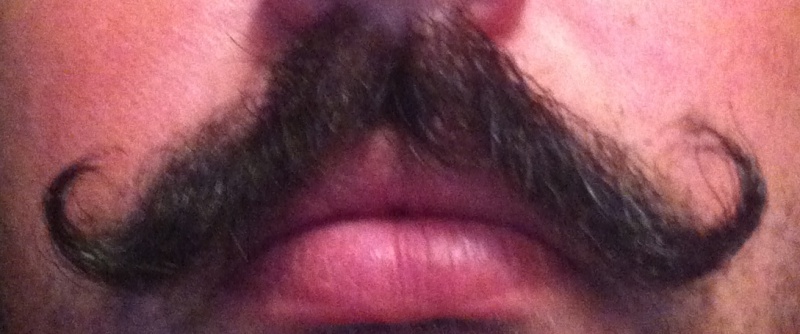 Qui fait des folies de ses moustaches ? 657338IMG3327