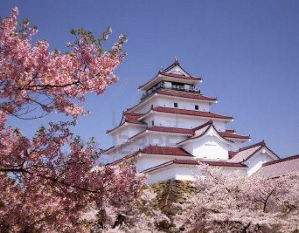 La Floraison des cerisiers au Japon - Sakura Zensen 657589CerisierduJapon