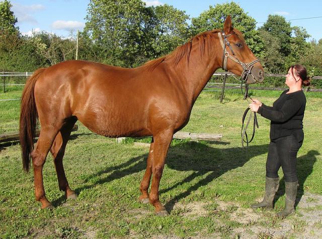 [PLACEE MICKA56300] SANZA Une "grande" fille du "petit" Général du Pommeau  659156quapsa1