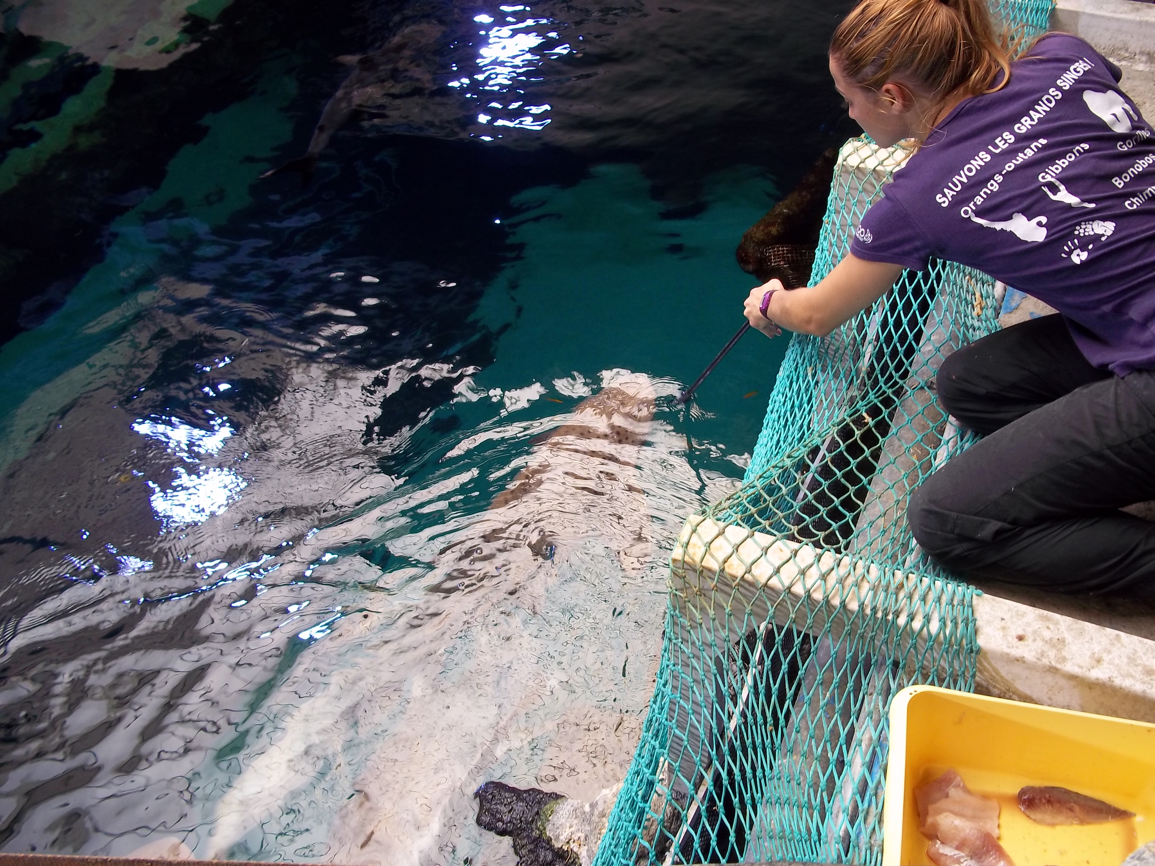 Mon stage à l'aquarium de Lyon 6598501002089