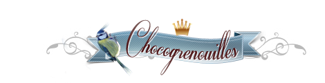 Chocogrenouilles rares 661929Choco