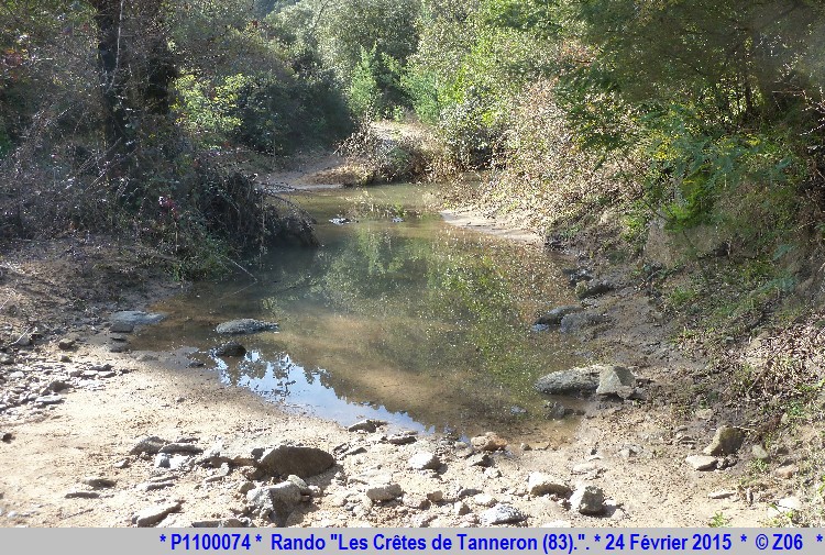 24 Février 2015 - Rando "les crêtes de Tanneron (83)"  664094P1100074