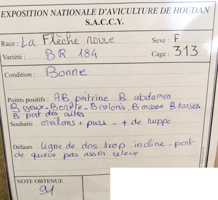 2014 - exposition d'aviculture Foire ST MATTHIEU 27 et 28 Septembre 2014 - Page 2 668346P1150625