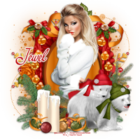 Aperçu des tutos de l'admin Jewel 669304tuto1035ChristmasWithTheBears