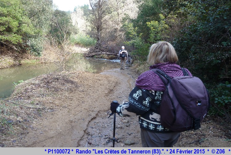 24 Février 2015 - Rando "les crêtes de Tanneron (83)"  669559P1100072