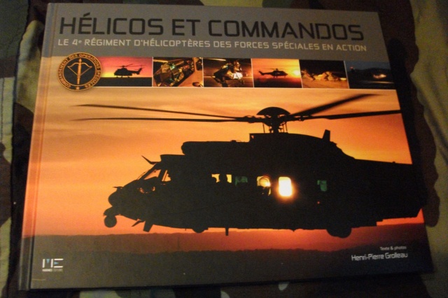 Hélicos et commando Le 4° RHFS en action 672599DSCF3886