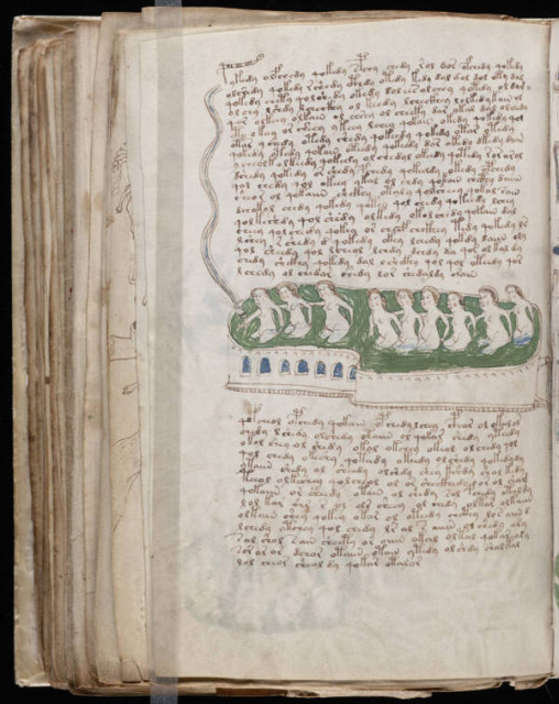 Manuscrit Voynich, oeuvre la plus étrange au monde (photos + texte + vidéo) 673325ghjghghj