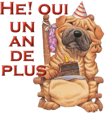Joyeux Anniversaire Orangina