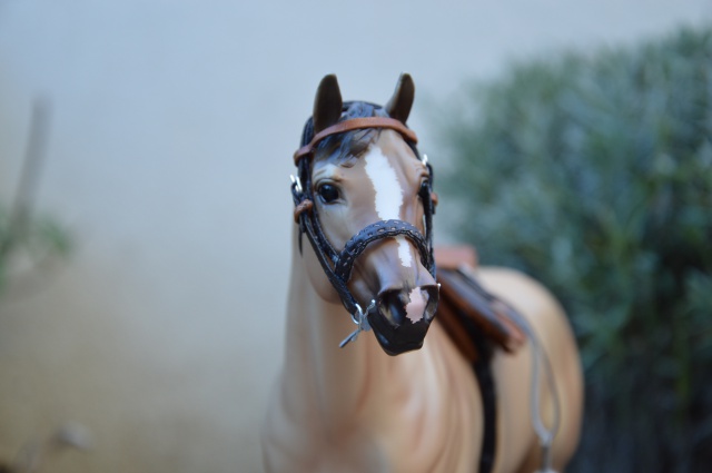 Créations du Haras de l'Eclipse (ensemble selle + filet) 677154DSC0259