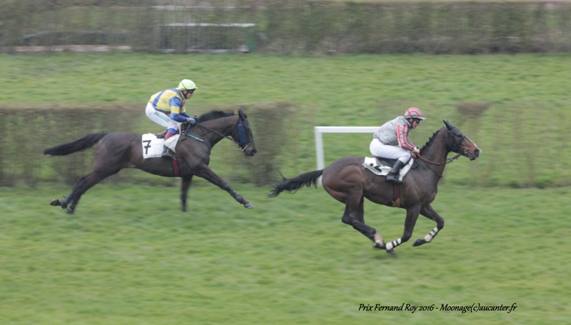 Photos Enghien 1-03-2016 677344IMG8231