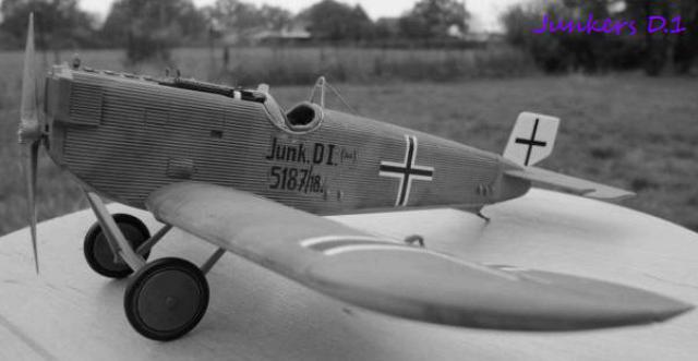 Junkers D.1 Roden 1/48ème (montage chrono 1 semaine.....et 1 jour !) 678273D1_termine_mod_1