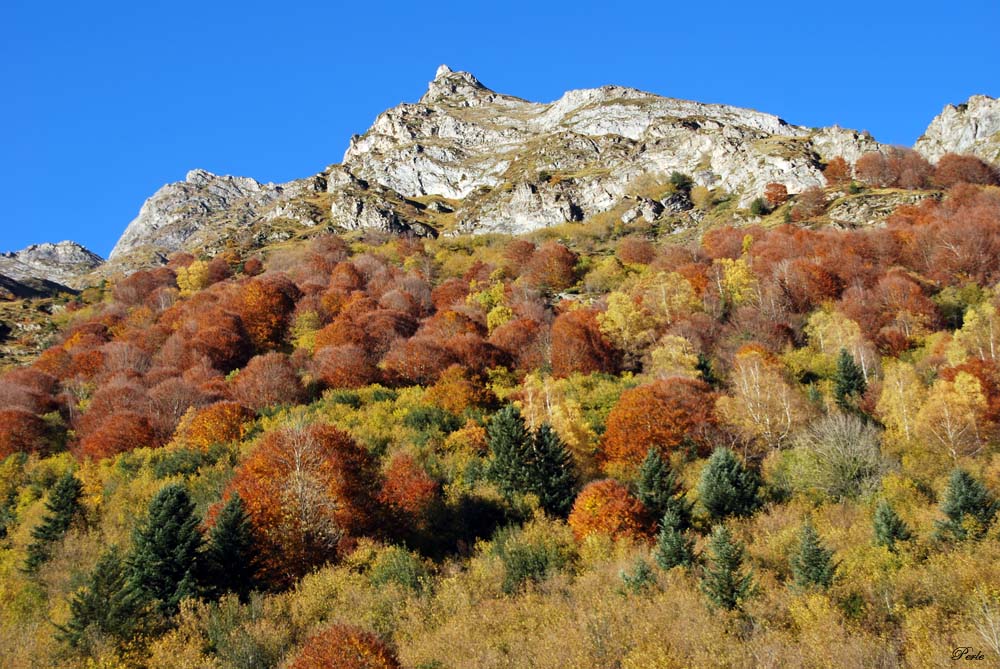 Hautes-Pyrénées. 679358agos25