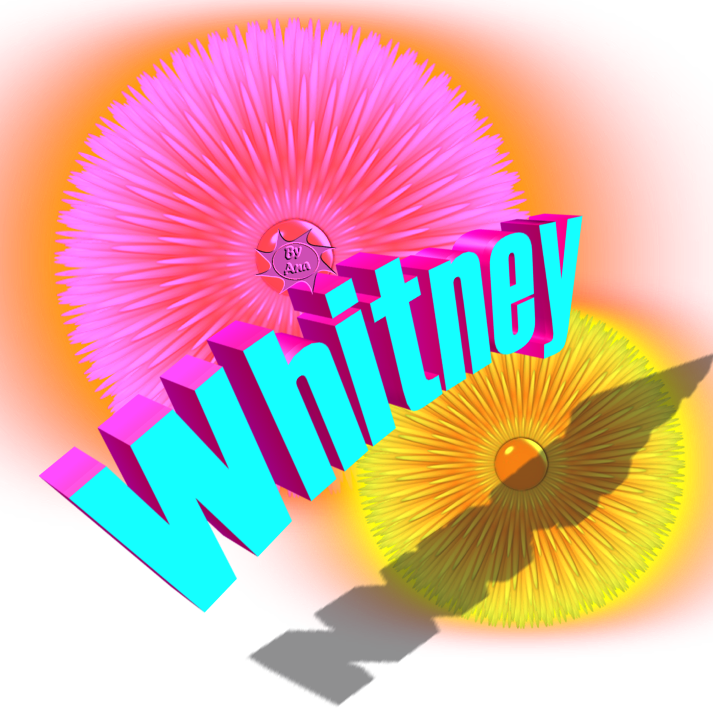 Nombres  que empiecen por la W 680210whitney