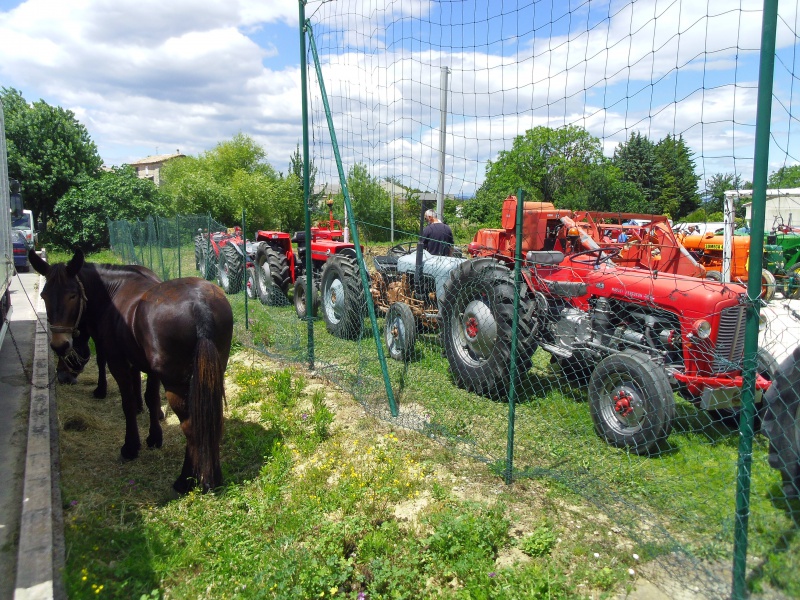 Fête de l'Agriculture à St Théodorit (Gard) 18/19 Juin 2016 682067IMGP4860