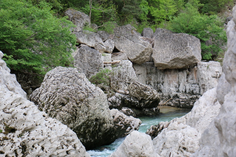 Les Cevennes autour du Mt Aigoual 683629IMG0668