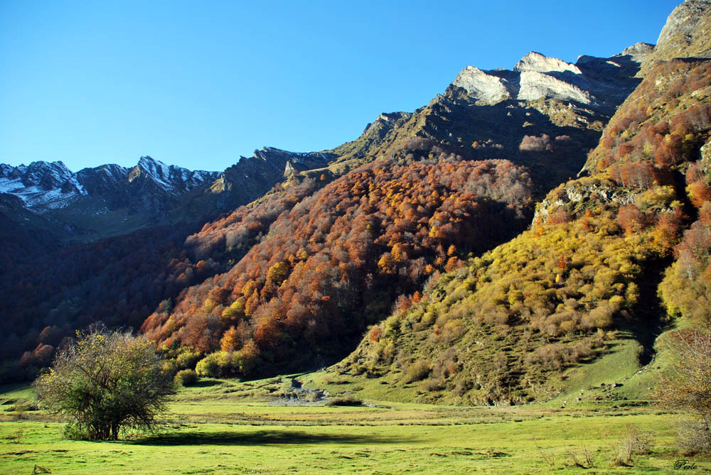 Hautes-Pyrénées. 686470agos56