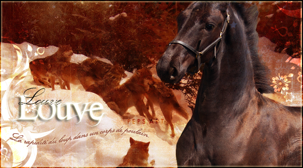 ♪ Chevaux noirs - Page 2 690383louve