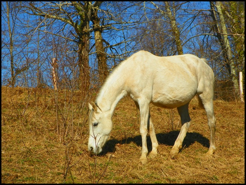 Un polichinelle dans le tiroir.... 691447ventrerega1