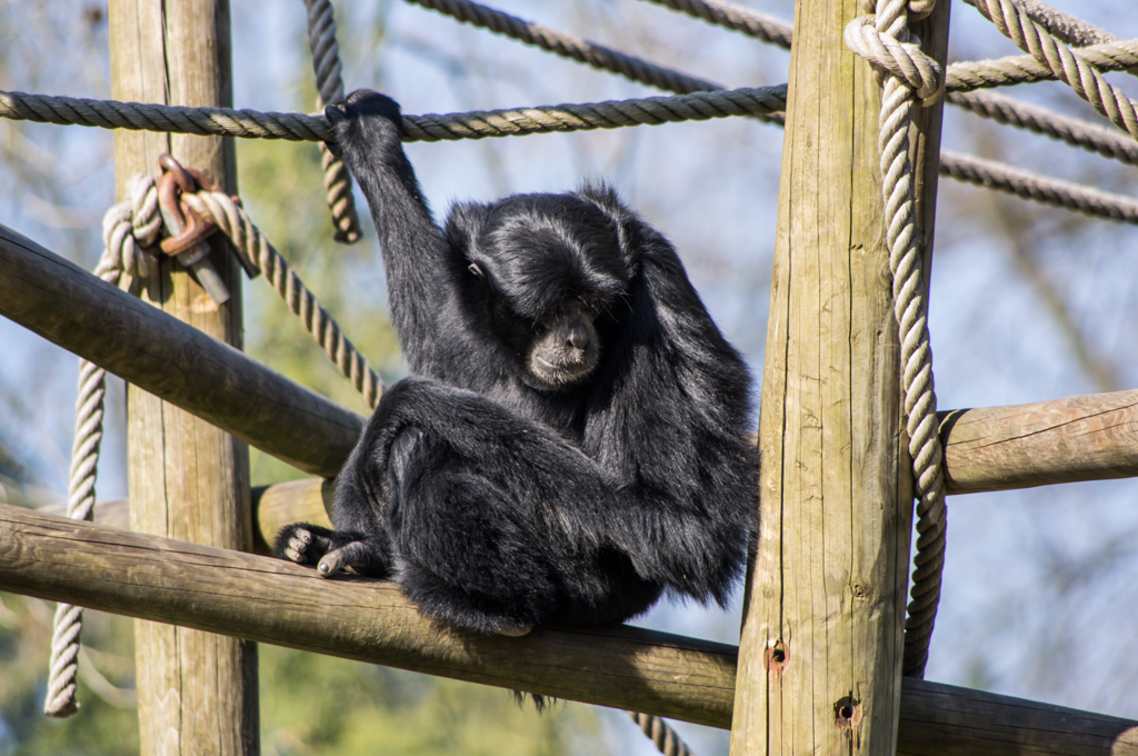 Zoo de Lille 698950IGP3925