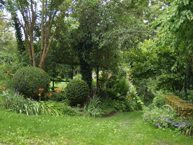 le jardin de  yolande - Page 2 701591P7101581