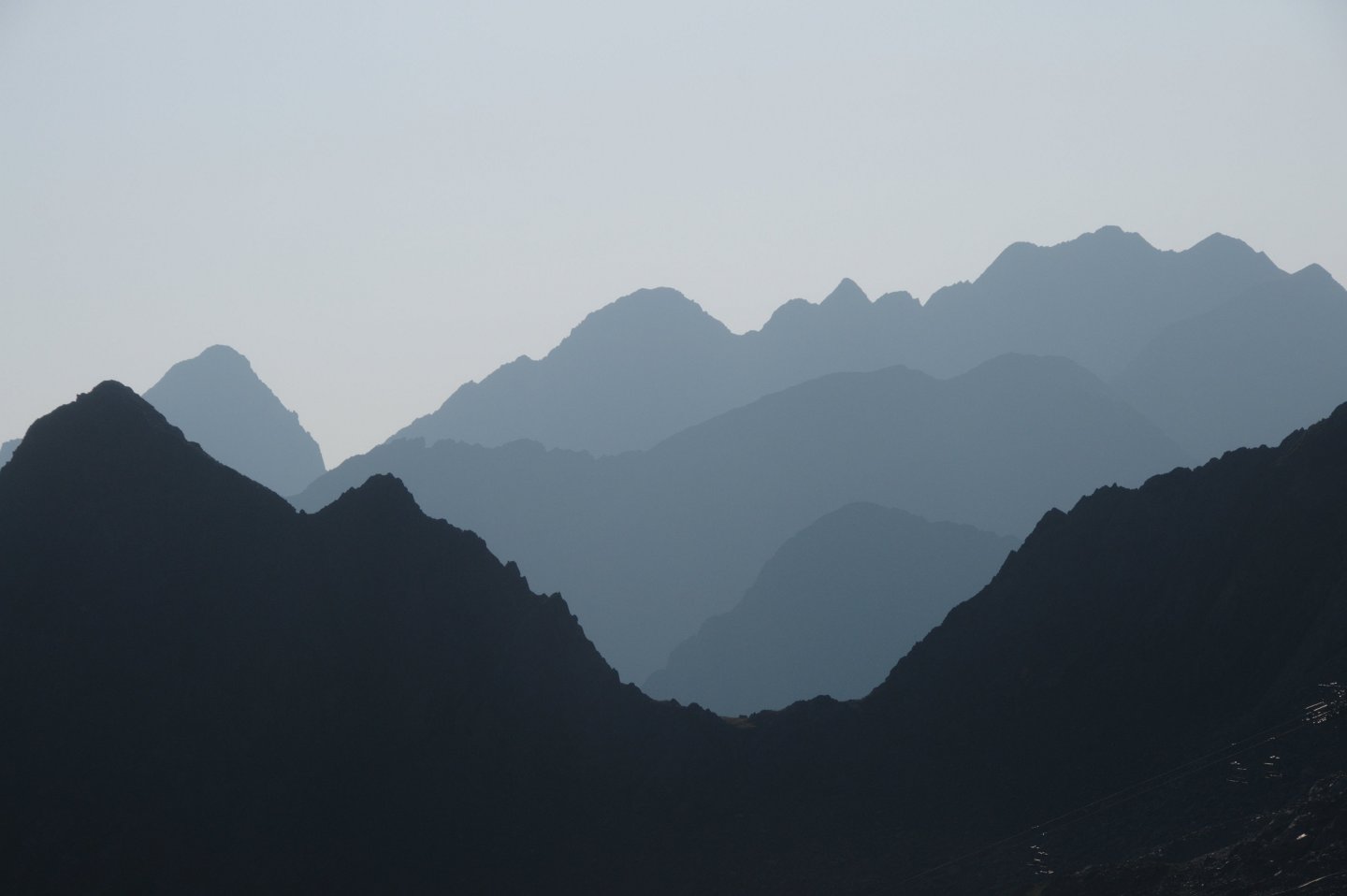 Une vie pyrénéenne de labrit des pyrénées - Page 14 705866gou0254