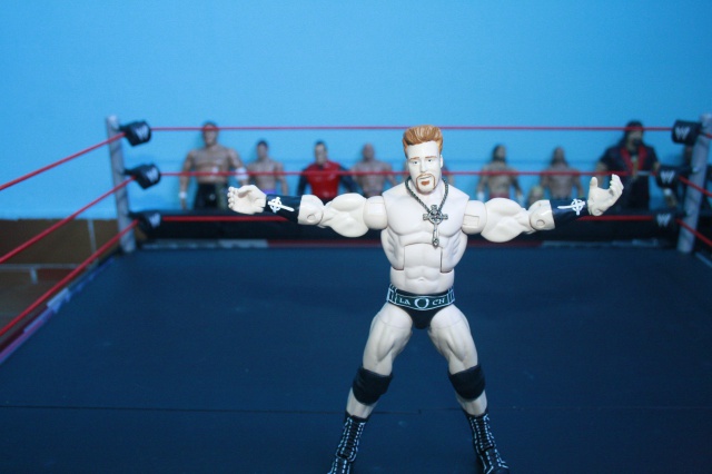 BWFF - Bill' Wrestling Figure Federation 707639MG8861