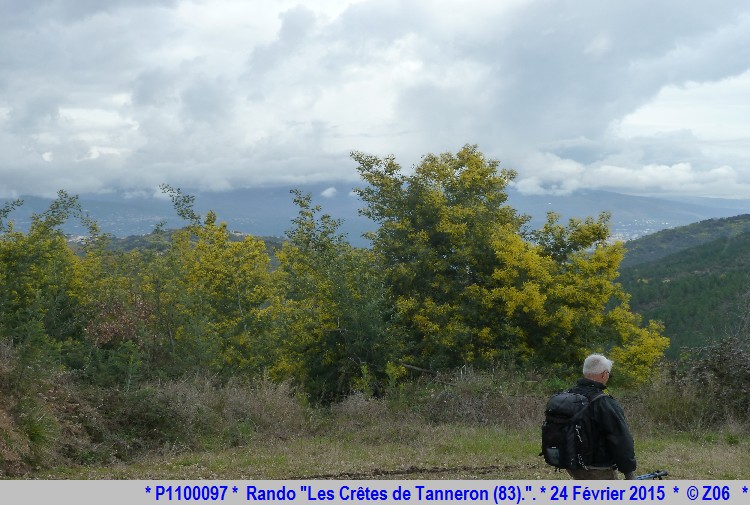 24 Février 2015 - Rando "les crêtes de Tanneron (83)"  707914P1100097