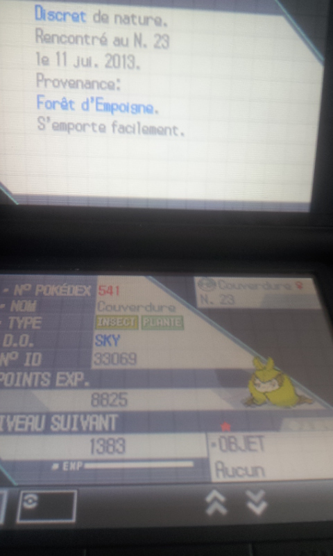 [ShinysHunters' Teams Cup n°7] Rapports et Classements  - Page 3 70956820130714174351