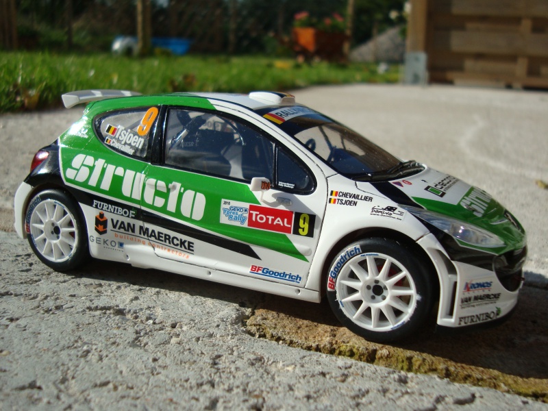 PEUGEOT 207 S2000 1/24 Pieter Tsjoen Eddy Chevaillier Ypres 2010 715130DSC08820