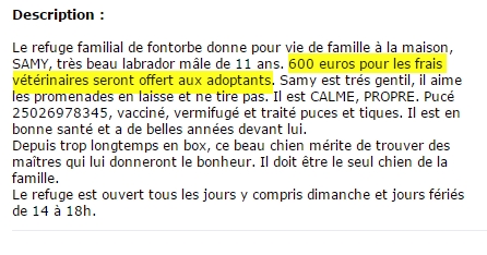 top annonce - Page 26 715698annonce