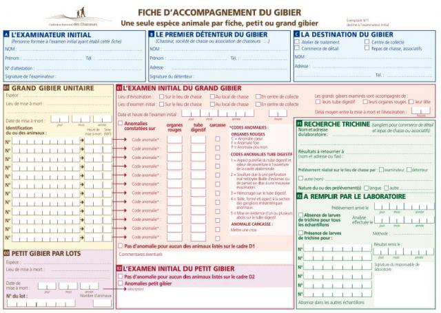 Examen Initial du Gibier Sauvage 720705fichedaccompagnementgibier