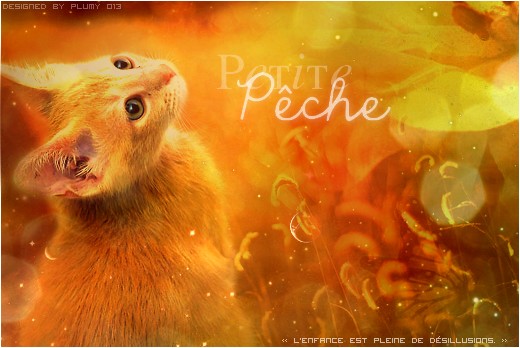 Petite Pêche ♀ ര  Chatonne du Clan des Nuages.  721515petitepche