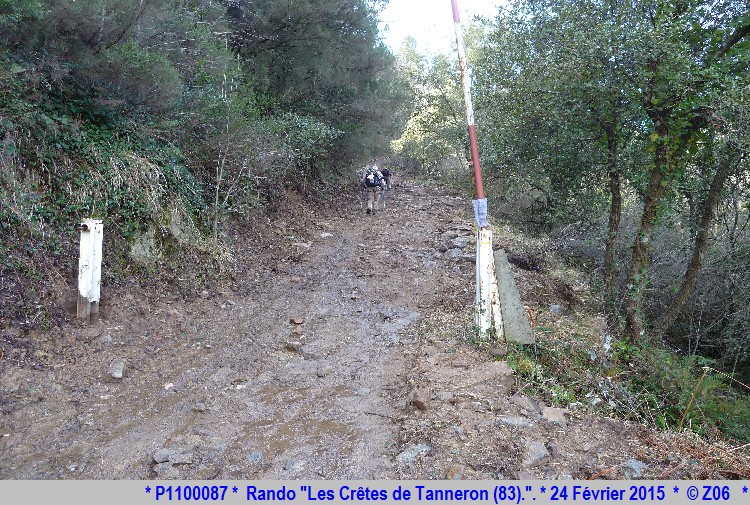 24 Février 2015 - Rando "les crêtes de Tanneron (83)"  721871P1100087