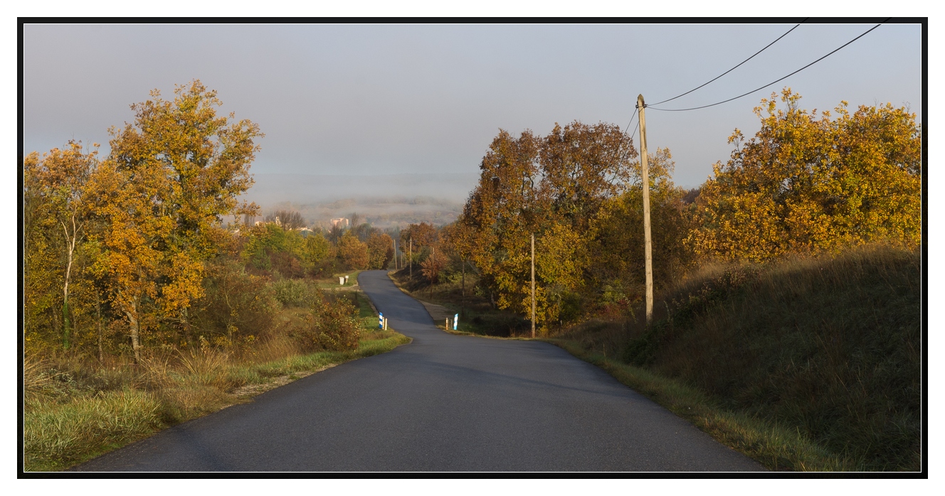 Campagne provençale 722265surlaroute