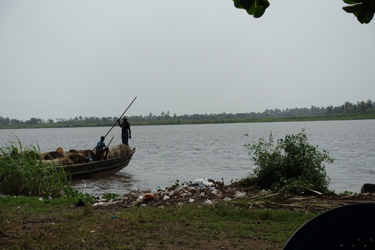 Un gogo dans le Bas Niger. - Page 3 724649DSC00379