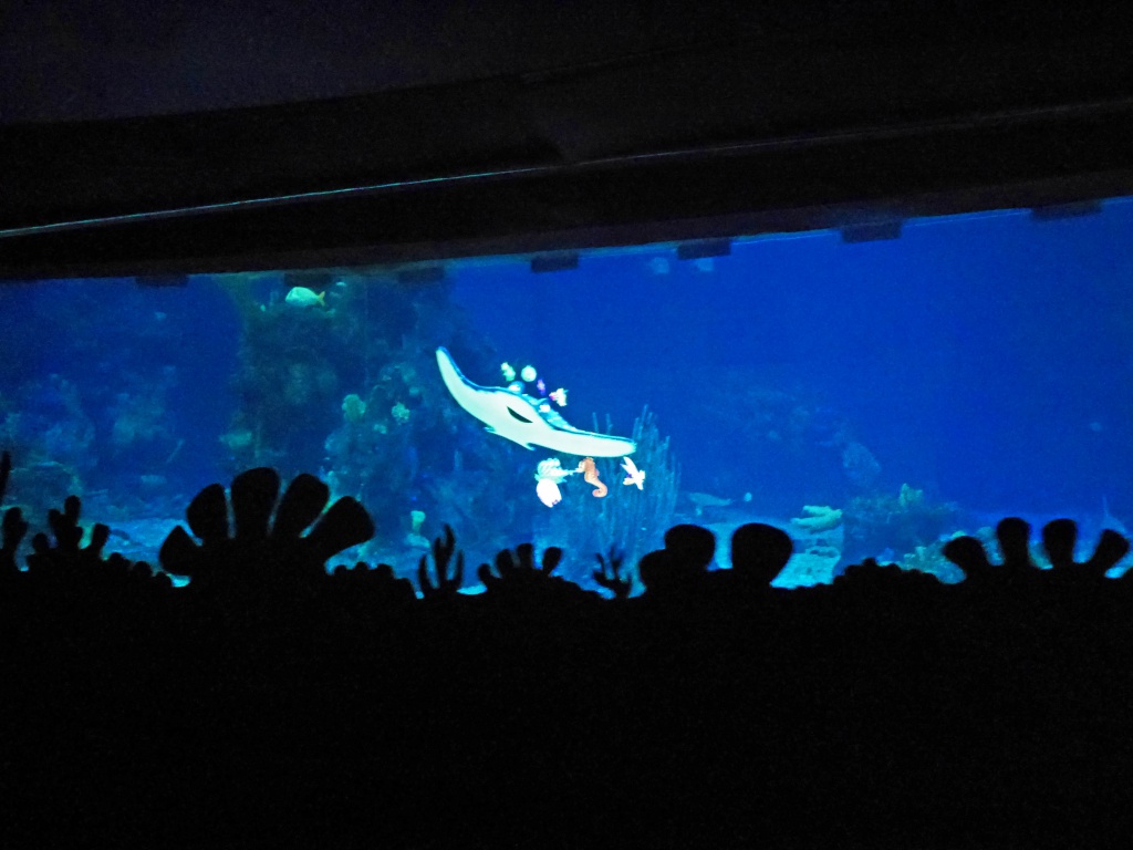 Une lune de miel à Orlando, septembre/octobre 2015 [WDW - Universal Resort - Seaworld Resort] - Page 4 725424P1010546