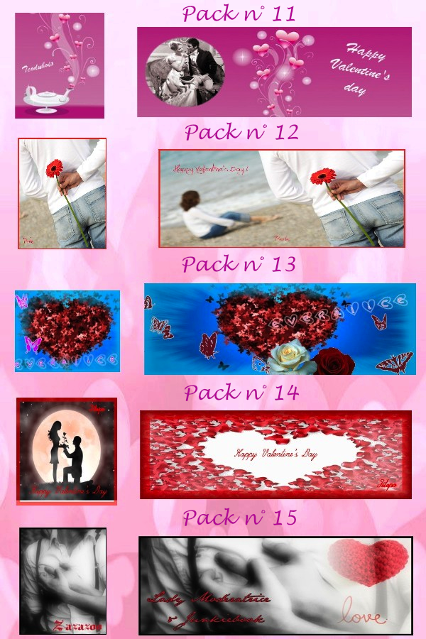 Votes du Concours Pack spécial Saint Valentin 2015 728390pack