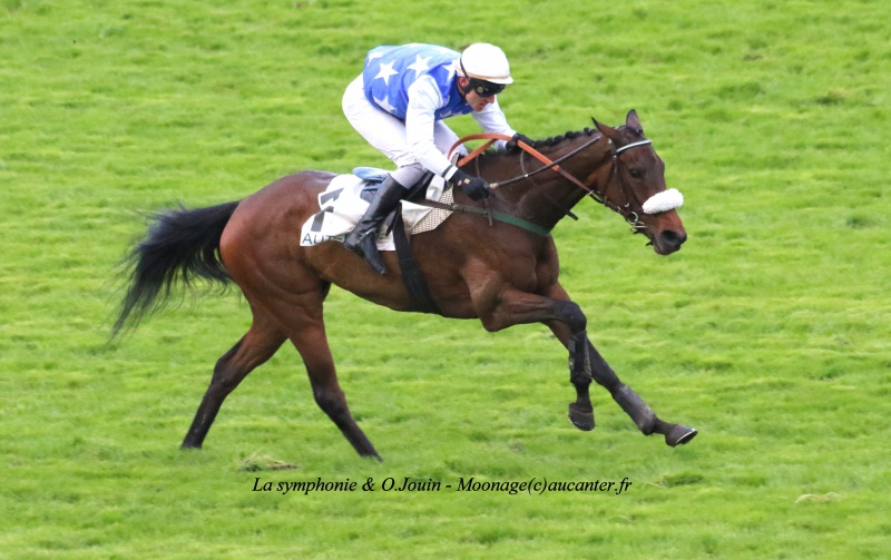 Photos Auteuil 14-05-2016  - Page 2 7351845J6A1571