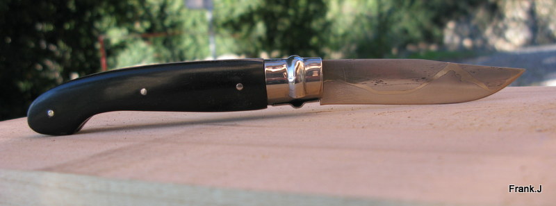 Opinel "customs" 2012 made in Frank - Page 12 735919IMG8180