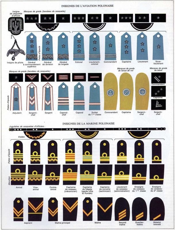 *Les insignes de l'armée Polonaise 736180PolAv